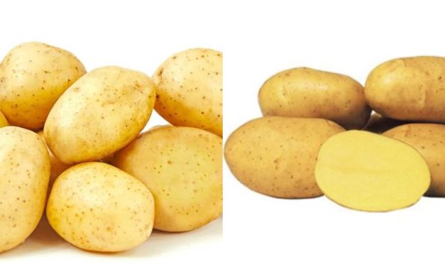 Patates: Besleyici Değerleri ve Saklama Yöntemleri