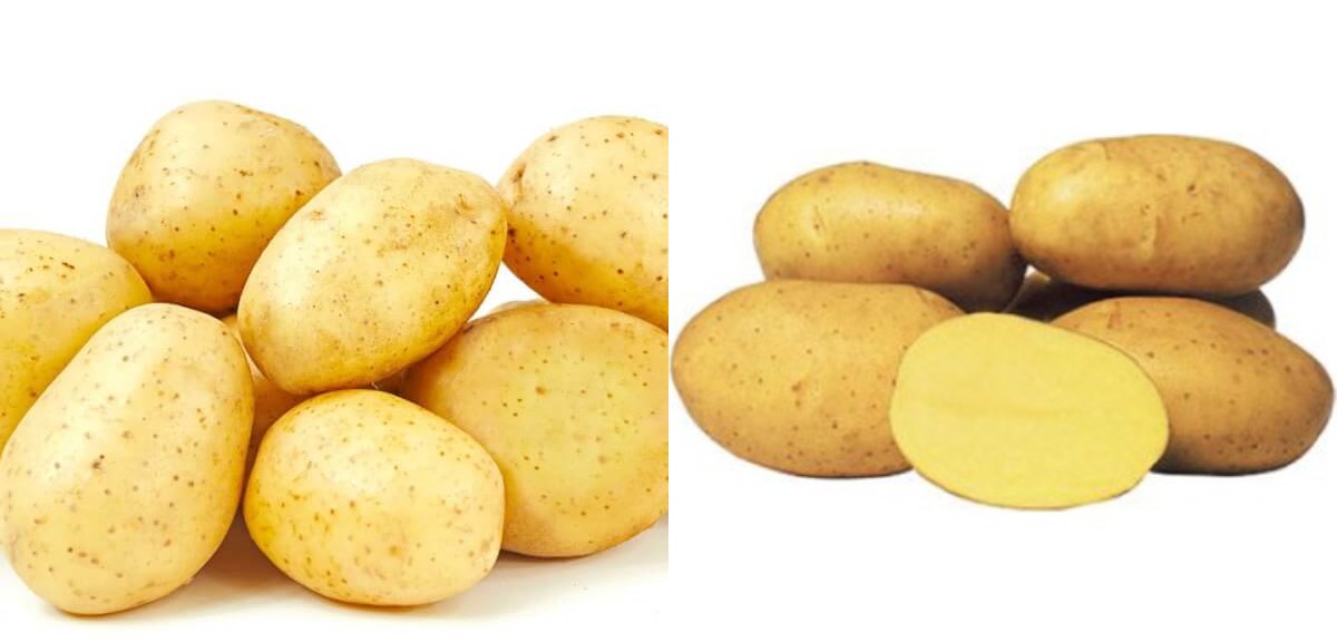 Patates: Besleyici Değerleri ve Saklama Yöntemleri