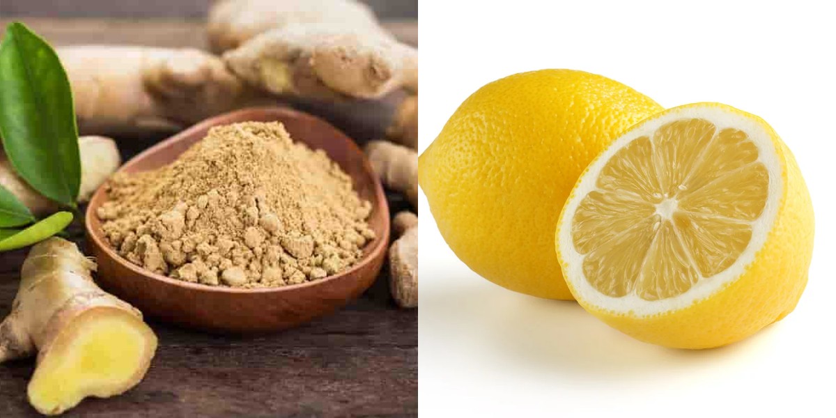 1 Haftada 5 kilo Verdiren, Hızlı Yağ Yakan Zencefil Limon Kürü Tarifi