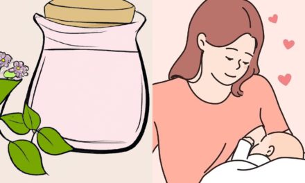 Anne Sütünü Kesmek İçin Bitkisel Çözümler ve Süt Kurutmak İçin 6 Yöntem