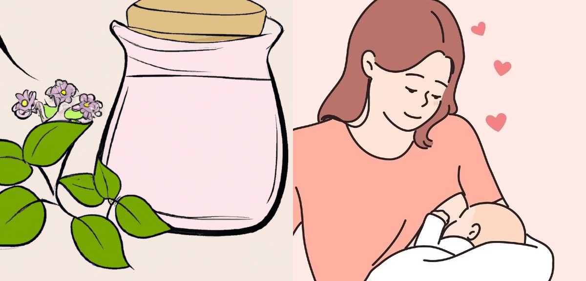Anne Sütünü Kesmek İçin Bitkisel Çözümler ve Süt Kurutmak İçin 6 Yöntem