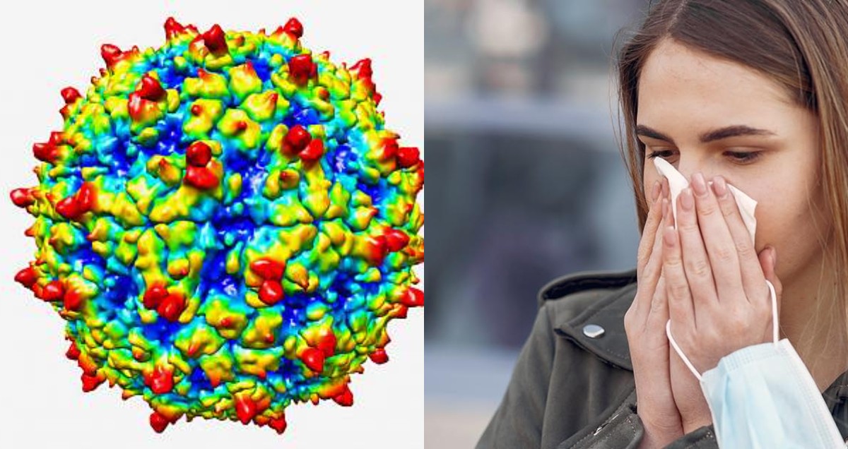 Rhinovirüs nedir? Gergedan Virüsünün 10 Belirtisi ve Tedavisi