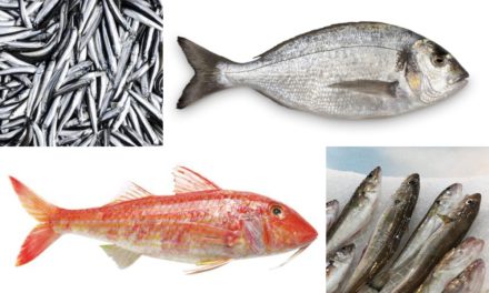 Ocak ayında yenilecek balıklar – İşte O 5 Balık