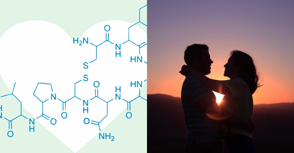 Oksitosin Hormonu Nedir? Ne İşe Yarar? Oksitosin Artırmanın Yolları Nelerdir?