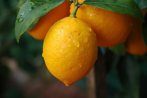 4-limon-suyu.jpg