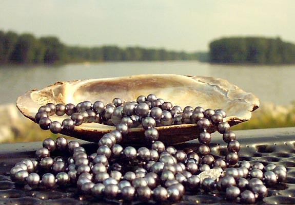 pearls-and-shells.jpg
