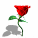 280118mj7vinze48.gif