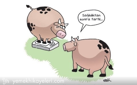 Ja2kO5.jpg