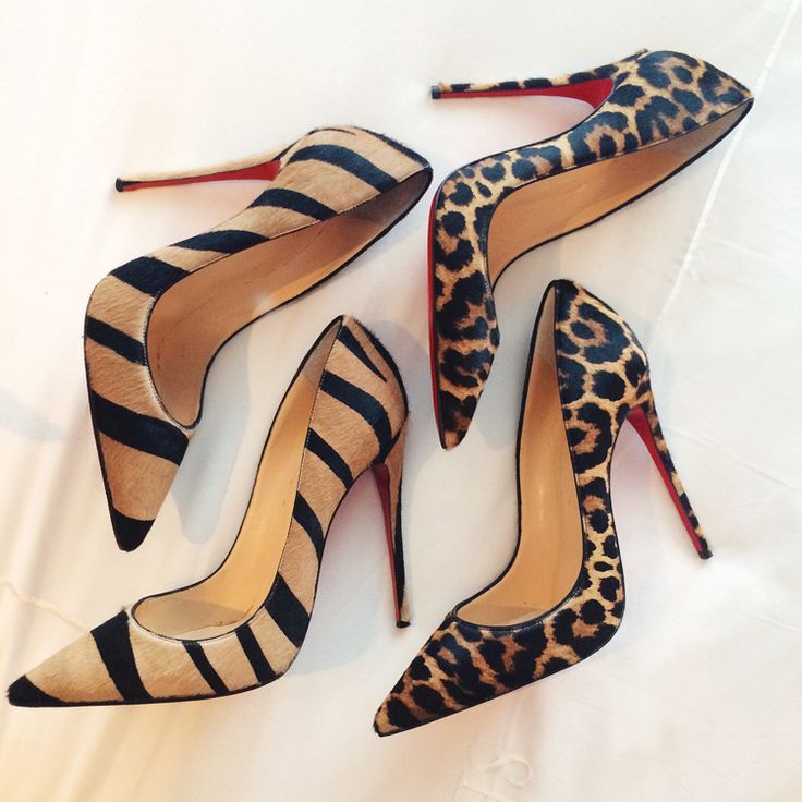 zebra_leopar-st.jpg
