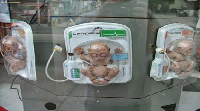 Genpets5.jpg