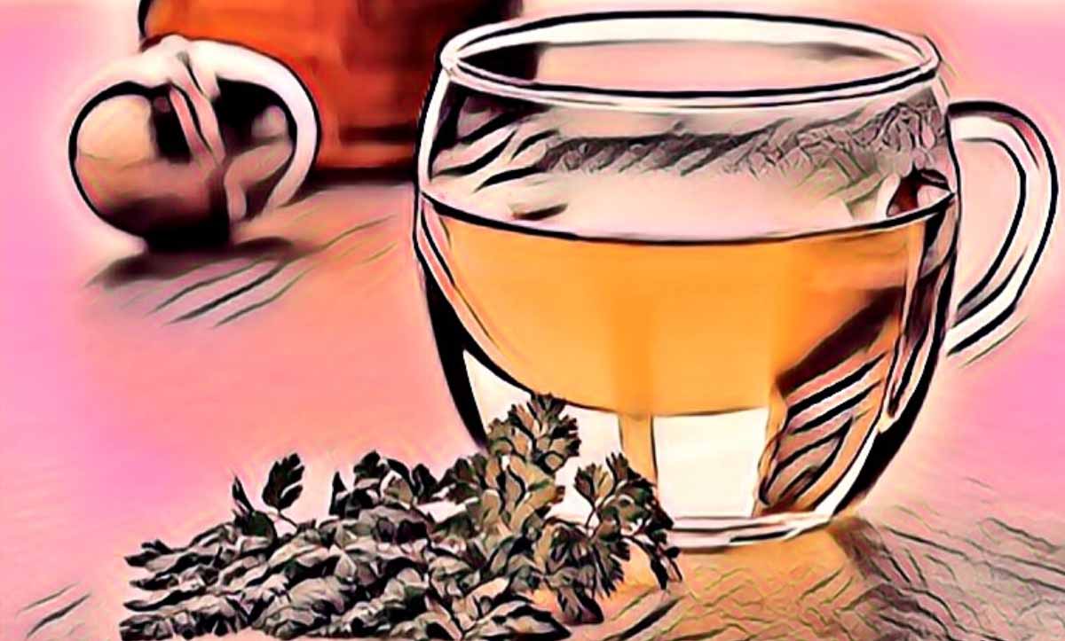 Maydanoz Çayı Nasıl Yapılır? Faydaları Ve Zayıflama Kadınlar Kulübü