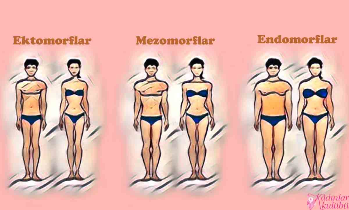 endomorf vs endomorf vs mezomorf vucut tipine gore diyet